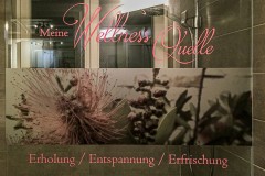 Duschwand Wellness/ Glastür / Milchglas- Sichtschutzfolie bedruckt