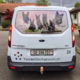 Tiere im Gleichgewicht