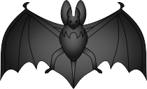 Fledermaus