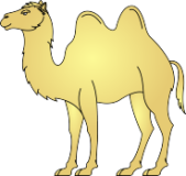Kamel Kamel
