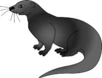 Otter