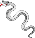 Schlange Schlange