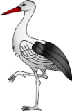 Storch Storch